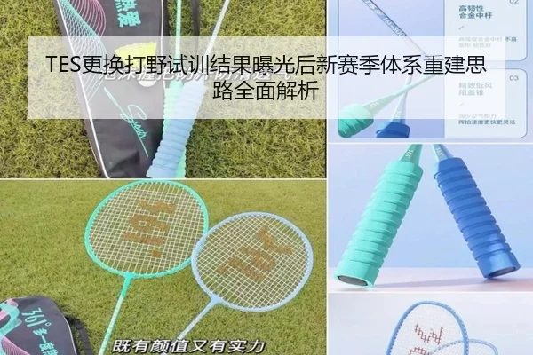 TES更换打野试训结果曝光后新赛季体系重建思路全面解析
