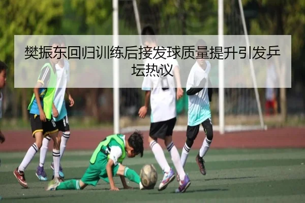 樊振东回归训练后接发球质量提升引发乒坛热议